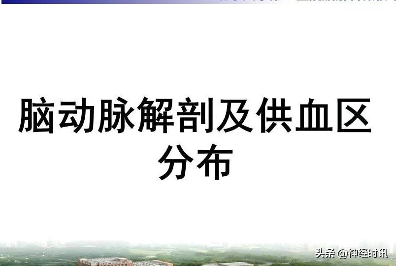 脑动脉解剖学讲解,脑膜中动脉解剖讲解