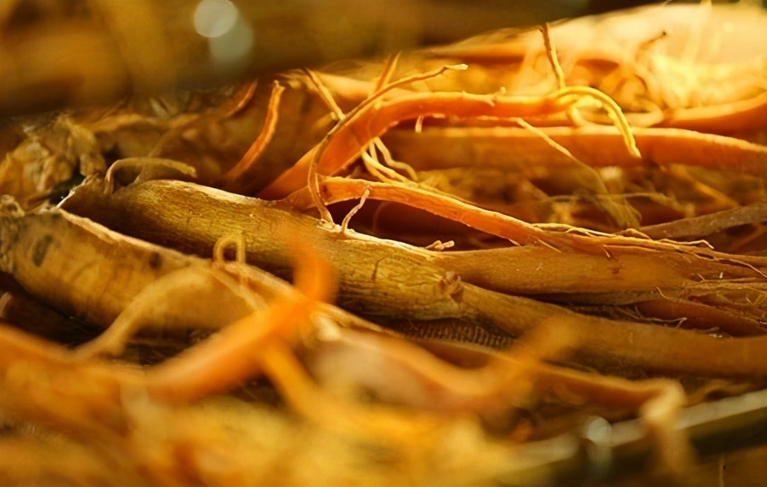 营养补充液类别,《营养补充剂》推荐