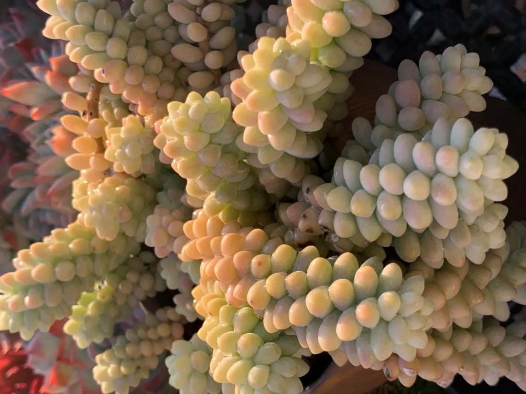 禁足的日子收获颇多,禁足