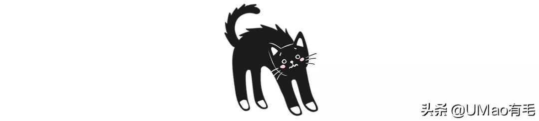 猫感冒会传染其他猫吗,猫感冒了有哪几种表现