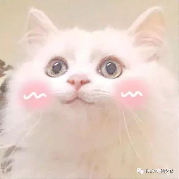 80块钱能买哪些好用的文具,省钱又好用的学习文具