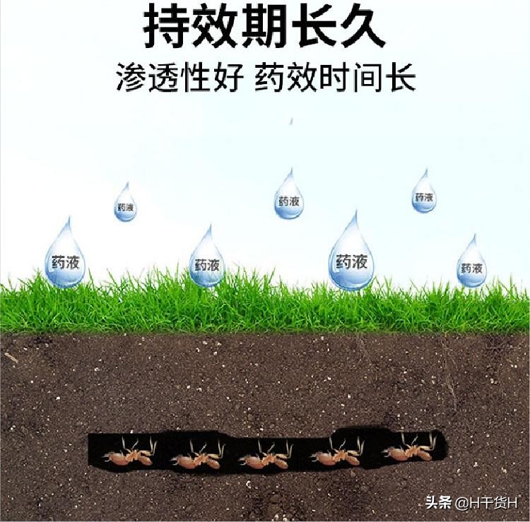 白蚁杀虫剂有用吗,白蚁除虫剂有效