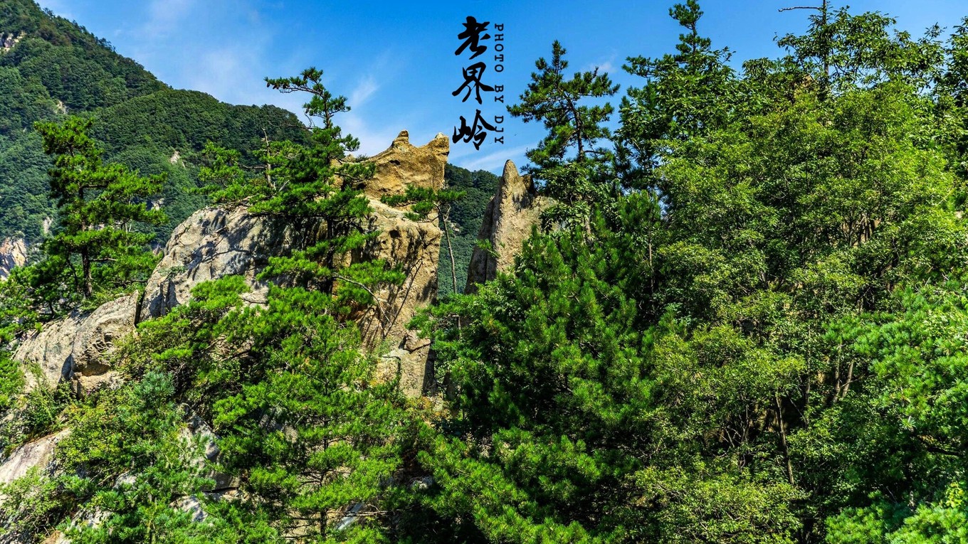 游览老界岭的感悟,河南老界岭景区