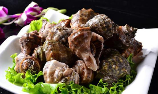 秦皇岛南戴河海鲜大咖,秦皇岛海鲜皮皮虾价格