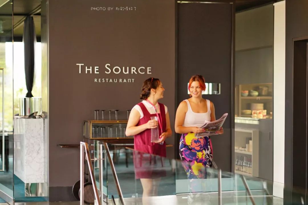 去哪里旅游可以看南极企鹅,旅游攻略南极看企鹅