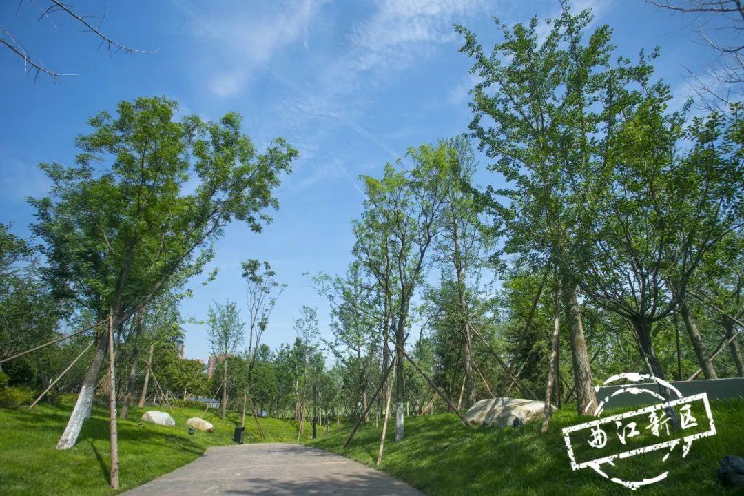 这个周日，新青年就要来曲*青江**年森林公园