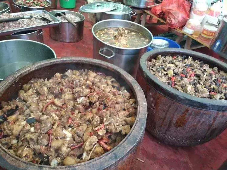 杨氏宗亲大团聚,杨氏宗亲联欢晚会完整视频