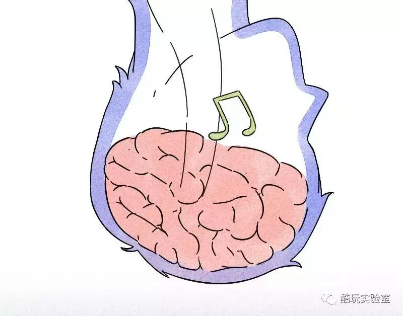 吃太多的糖会让你变胖,让你变丑变老的不是脂肪而是糖