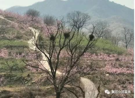 孤独前行（舞文弄墨，自得其乐）