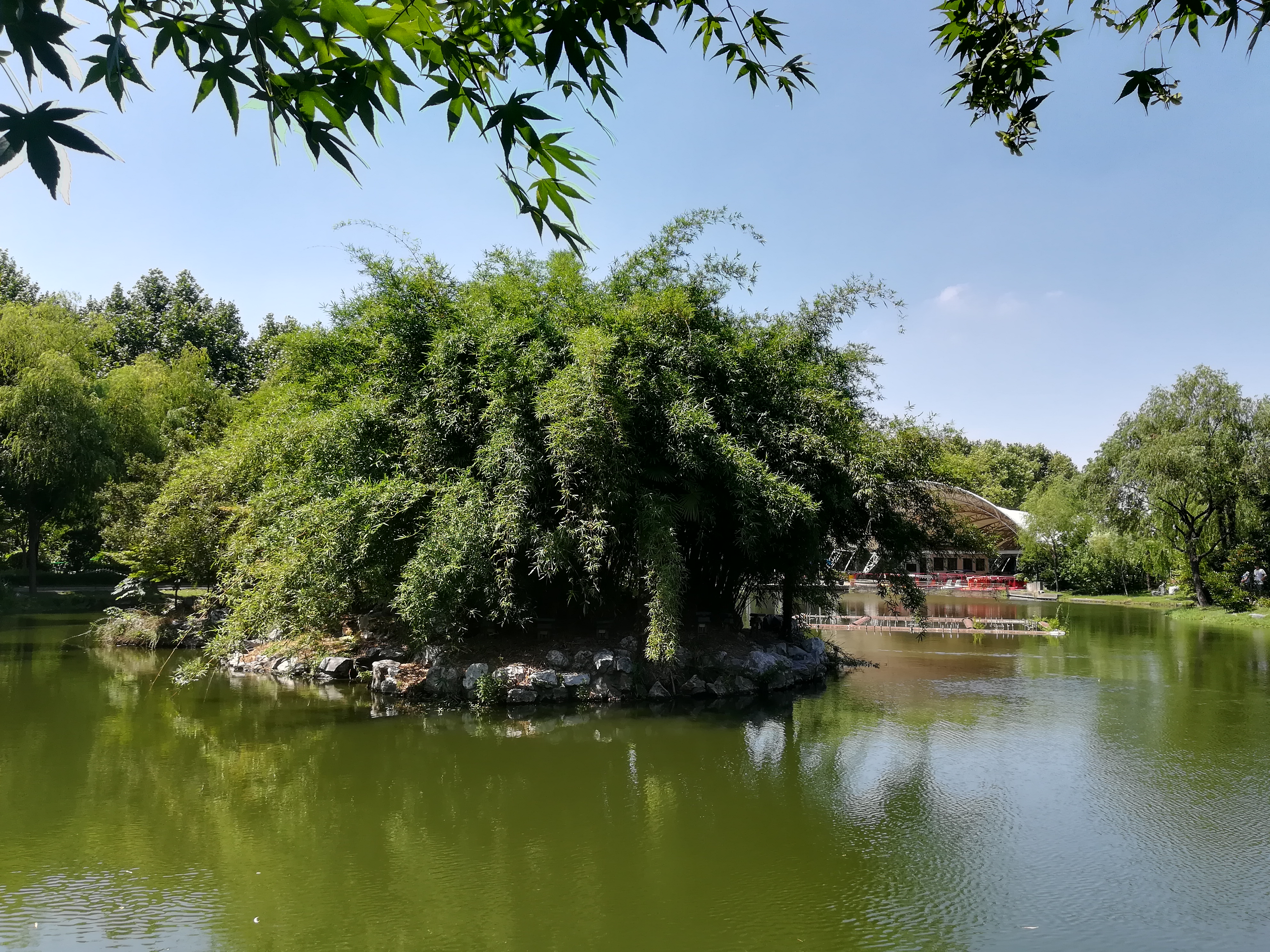 上海长风公园钓鱼,上海长风公园改造计划