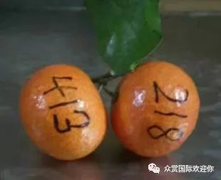 9秒快速识人课程,精准识人课