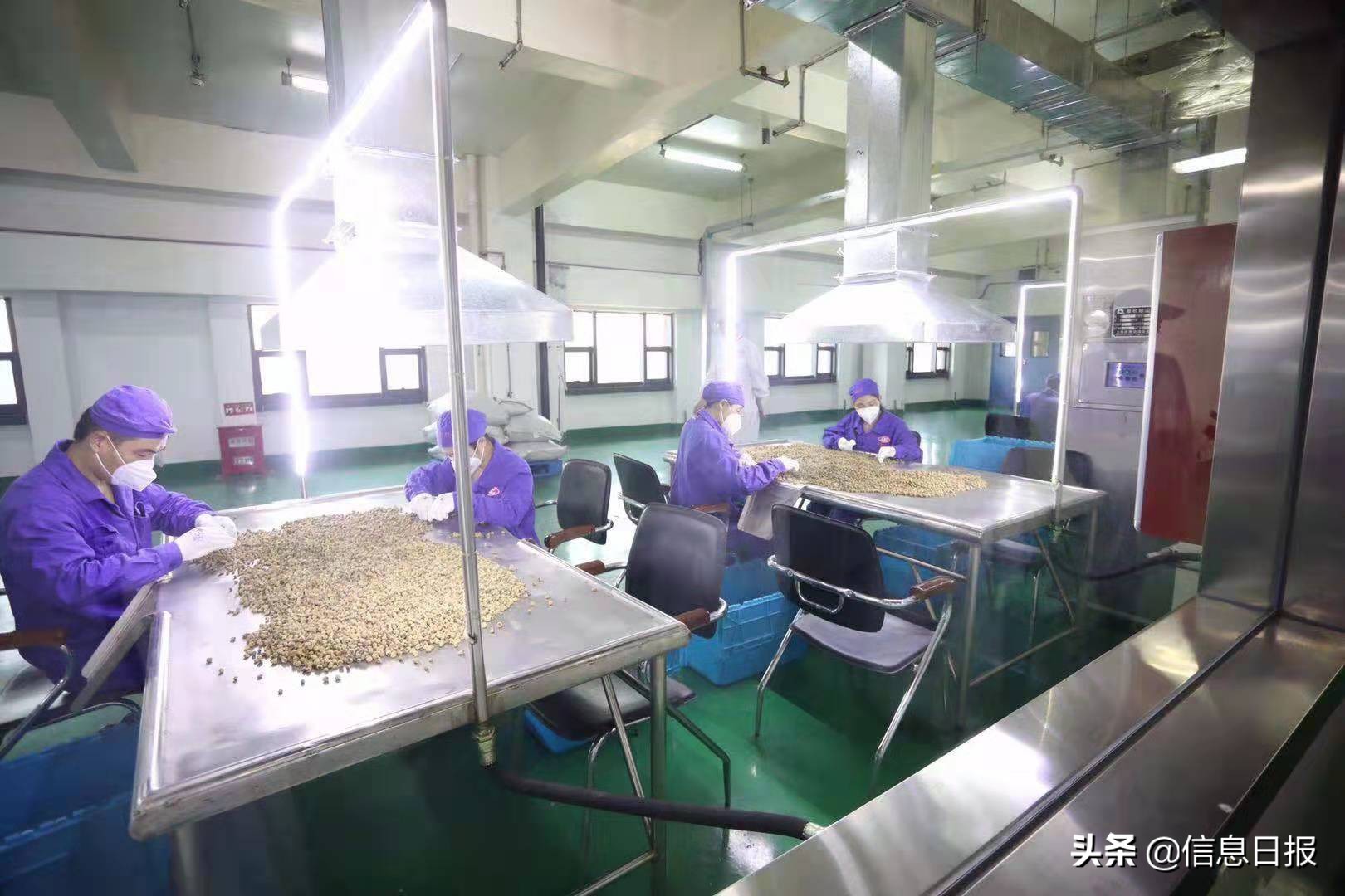 全国网媒聚焦,全国媒体聚焦