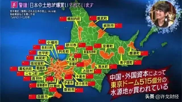 日元暴跌在日本买房的亏了吗,日元跌破146必须赎回美债吗