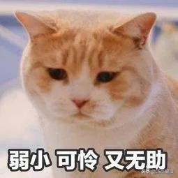 得了系统性红斑狼疮男朋友说分手,男生长了鸡皮肤