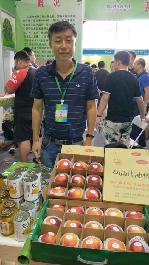 大连仙浴湾油桃,湖北仙浴湾油桃