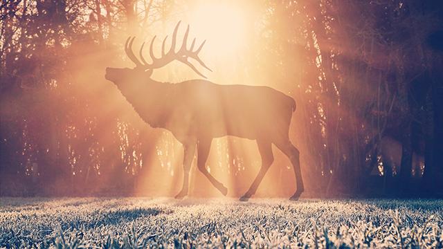 yourcoat什么意思,yourcoat是什么意思