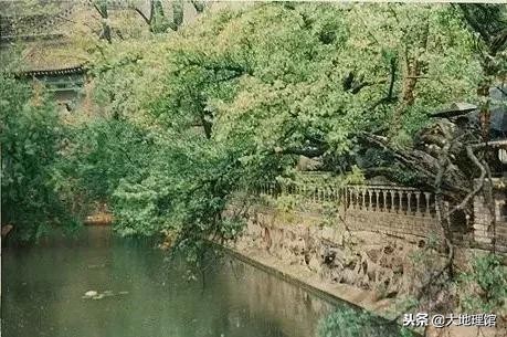 石榴早在2000多年前经过丝绸之路,石榴传奇全书