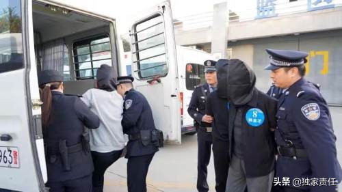 明星村官,明星村官电视剧全集在线观看