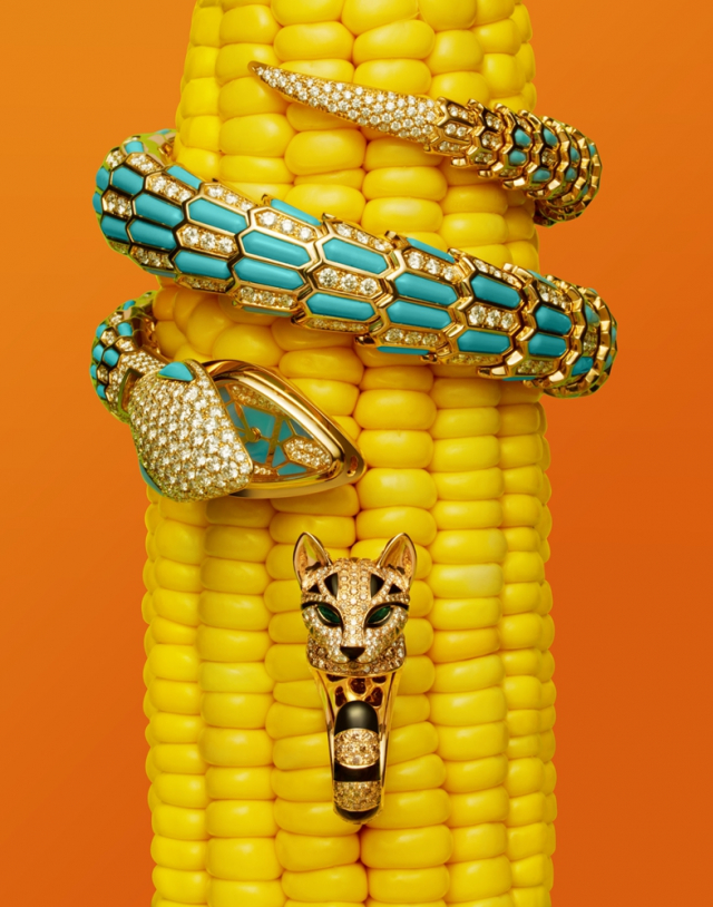 安瑞摄影,安瑞的摄影