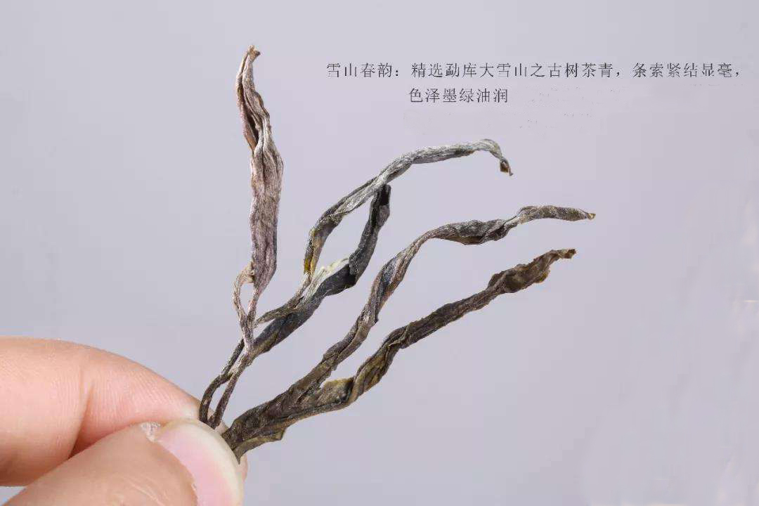 普洱茶临沧永德忙肺古树茶,临沧镇康古树茶普洱茶价格