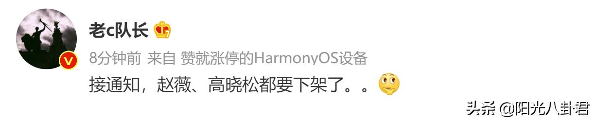 高晓松赵薇最新准确消息,高晓松赵薇近况