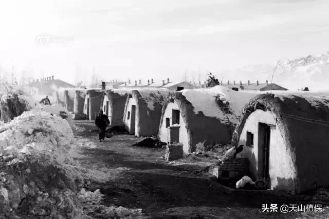 伟大的新疆,伟大的阿勒泰