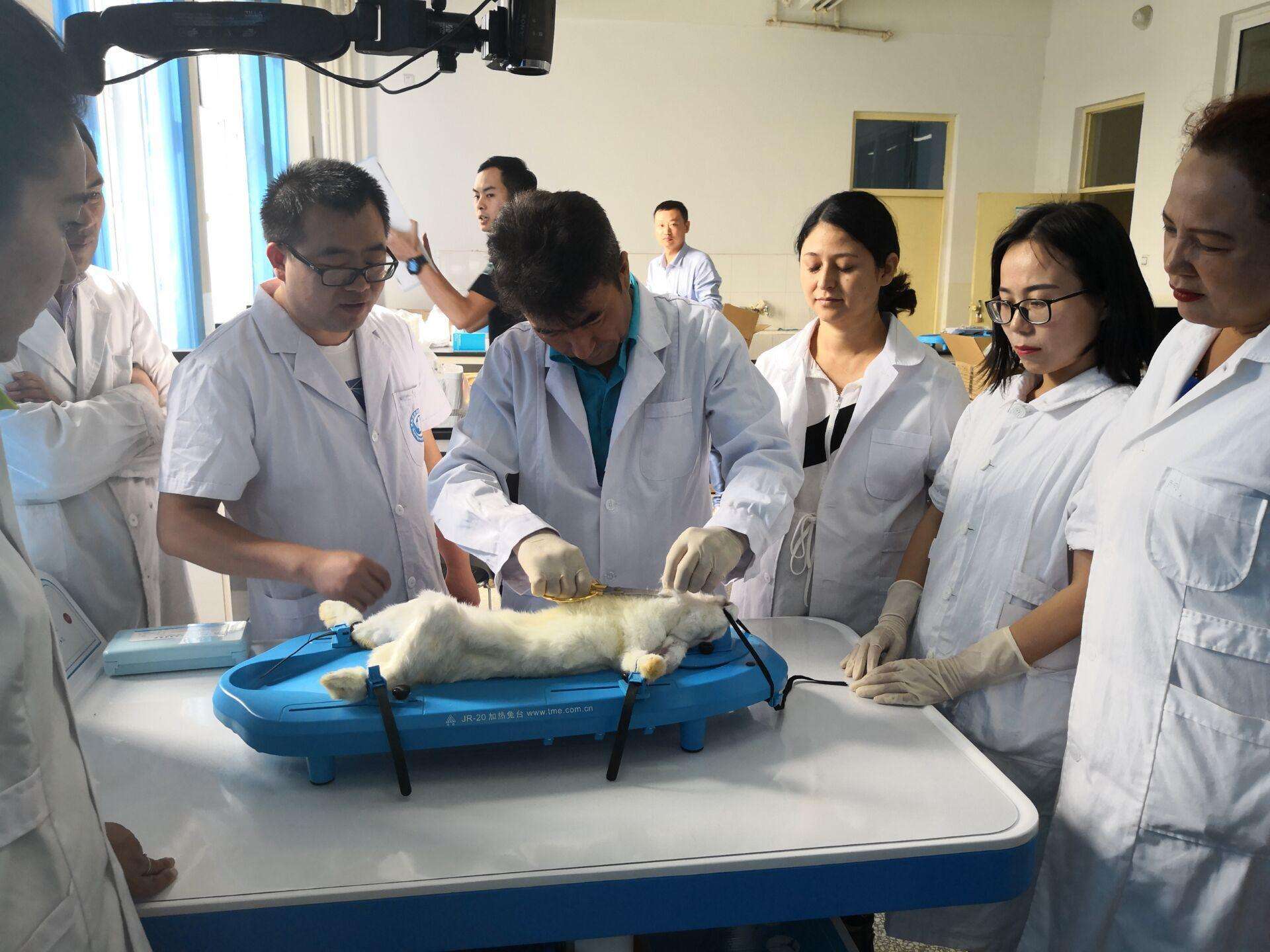 专科生学医学专业有出路吗,专科生学药学前景如何