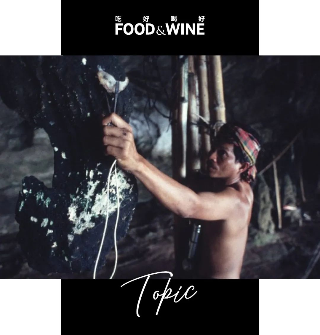 燕窝有泡沫怎么回事,为啥燕窝都是泡沫