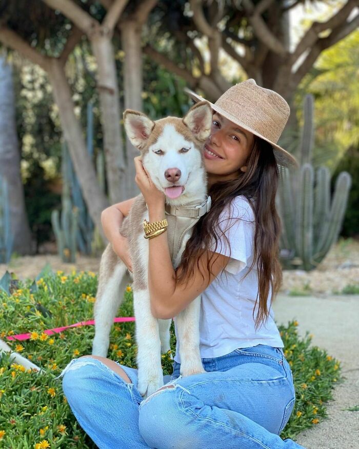 巨石强森和大狗是亲兄弟吗,巨石强森养了什么狗