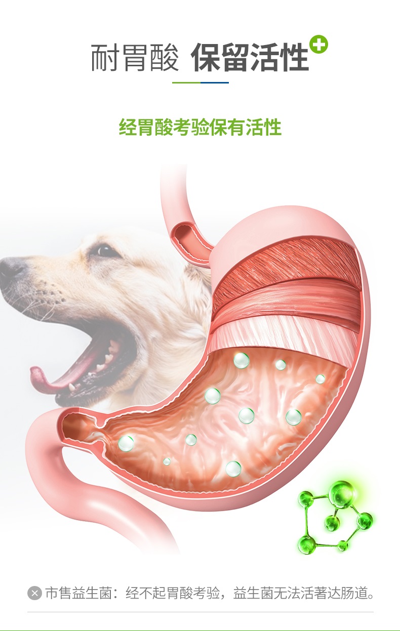 益生菌如何喂宠物,肠可欣宠物益生菌