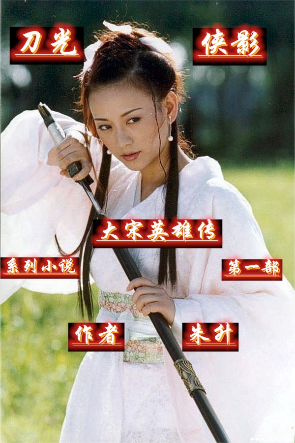 《刀光侠影》20淮河上金花露绝技风雨中陆游喜降生