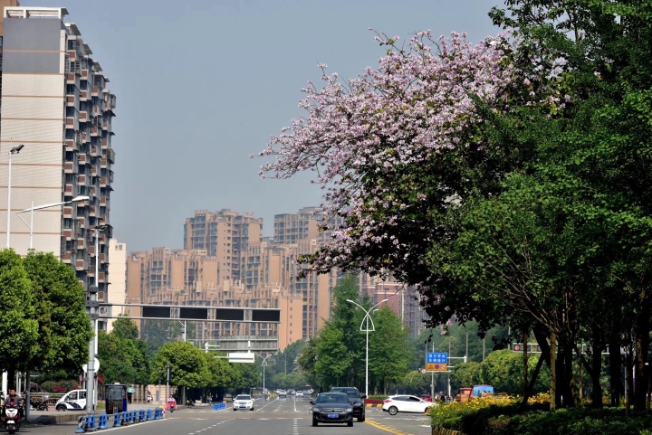 1130是什么星座,1134是什么星座