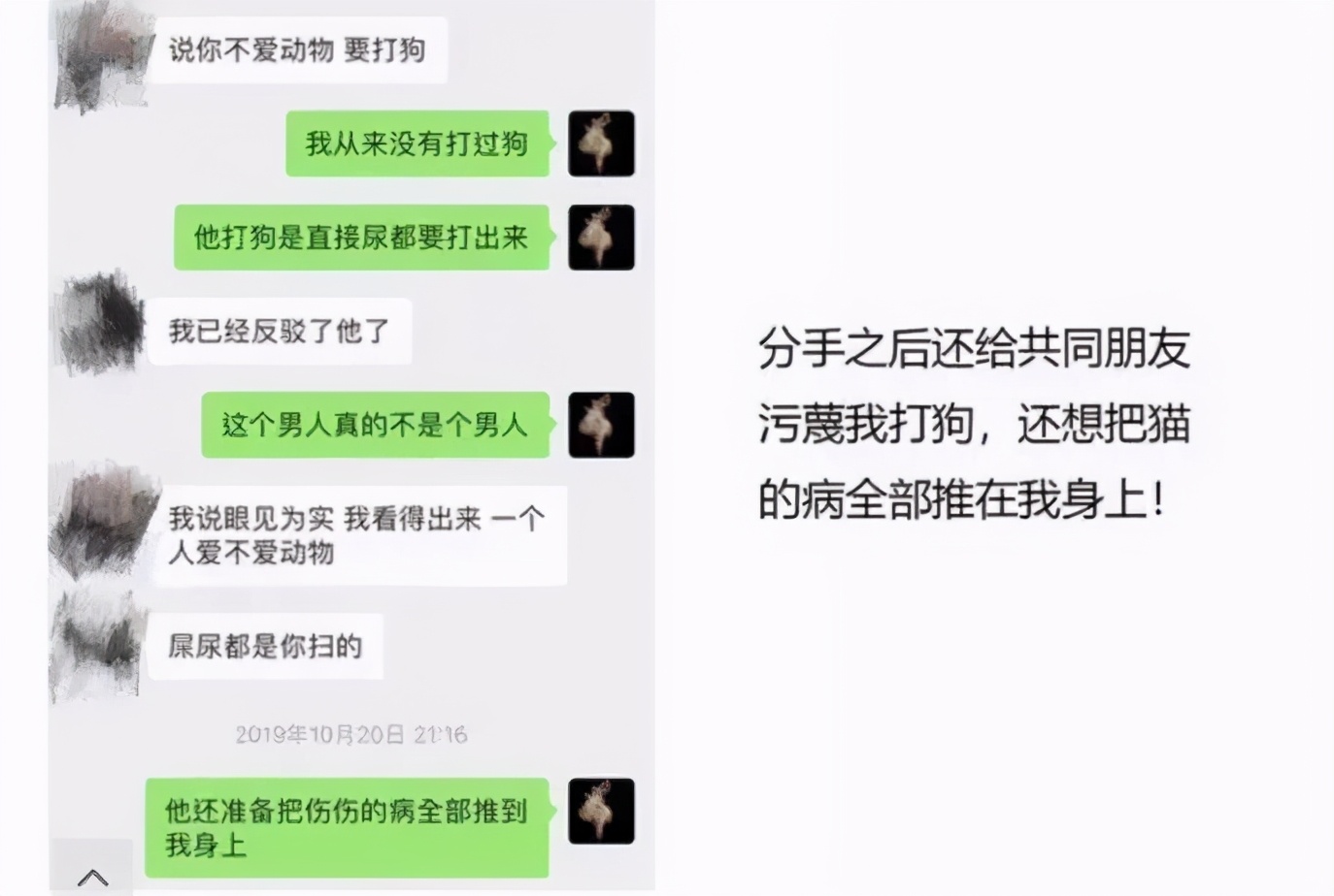 丢掉女朋友养了2年的猫,女朋友要求丢掉养了3年的猫