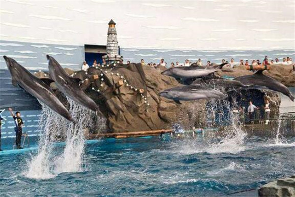 大连冬季旅游必去景点排名前十,旅游大连冰峪沟风景区攻略