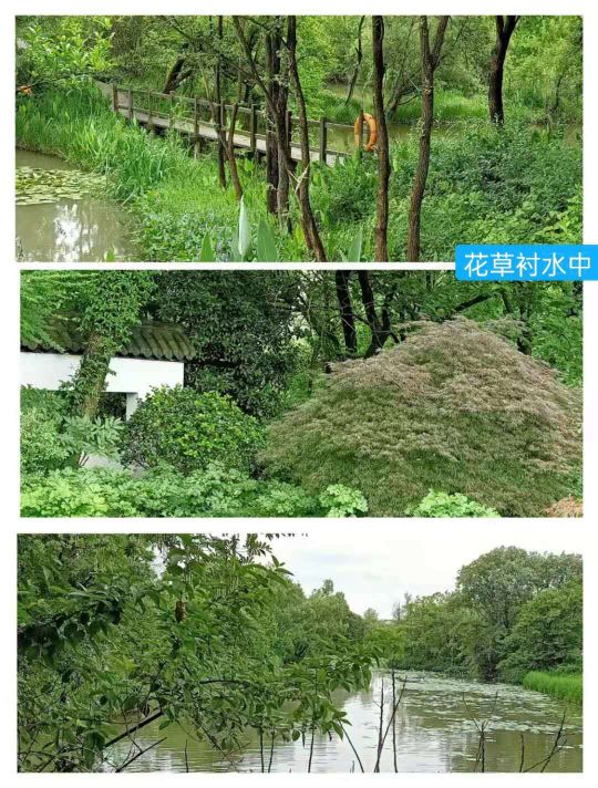 文化源远,三:水中寺庵？秋雪四面环水似孤岛蒋村二客夜走秋雪庵