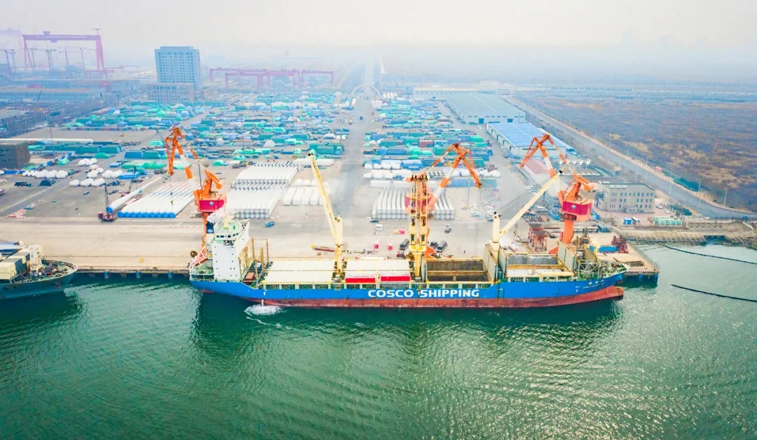 大沽口港区首次出口薄皮核桃、葵花籽