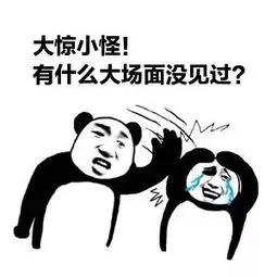 专四专八必考题,专四专八要掌握多少单词