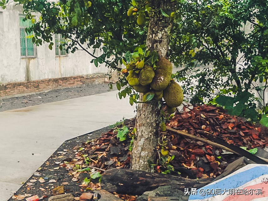 徒步去海南攻略,海南徒步环岛旅游攻略