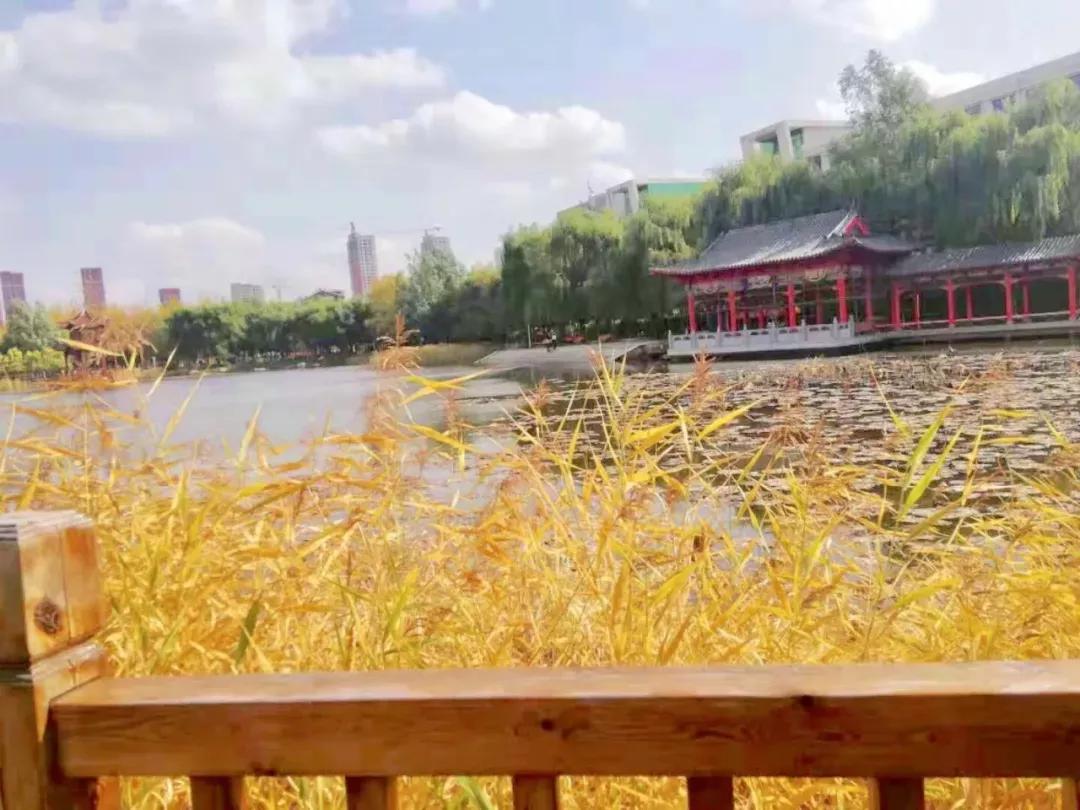 辽宁中医药大学杏林学院有独卫吗,辽宁中医药大学杏林学院属于3+2吗