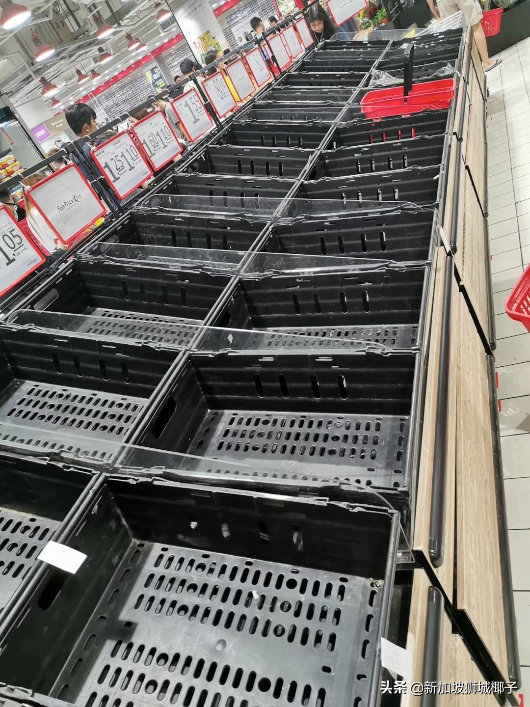 新加坡计算机行业年终奖,新加坡行业薪资排行榜