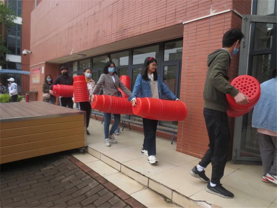 龙腾虎跃展英姿,龙腾虎跃展宏图