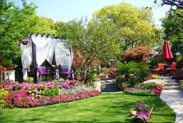 庭院设计用什么植物,庭院植物设计搭配详解