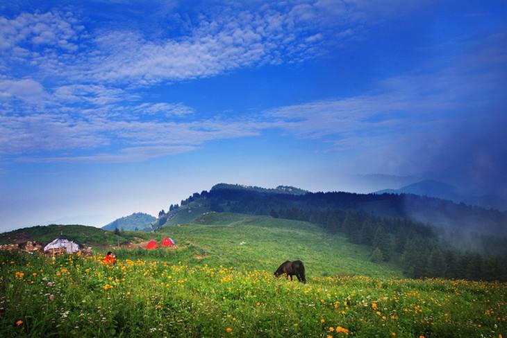 石家庄市滹沱河生态旅游景区,石家庄5a旅游景区名单最新