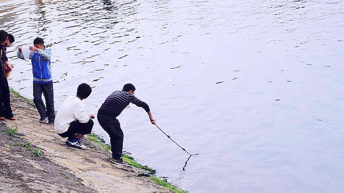 上海金山区有多少沙滩,上海金山沙滩2021门票多少钱