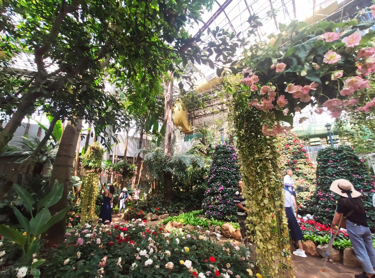 昆明世博园是免费参观的吗,第一次来昆明的感受