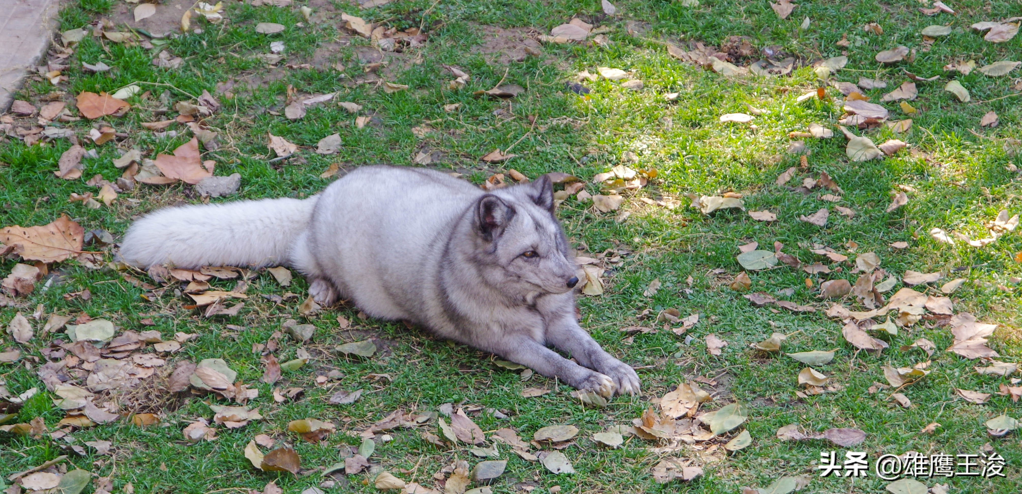 江苏最适合旅居的小城市,江苏度假城市推荐