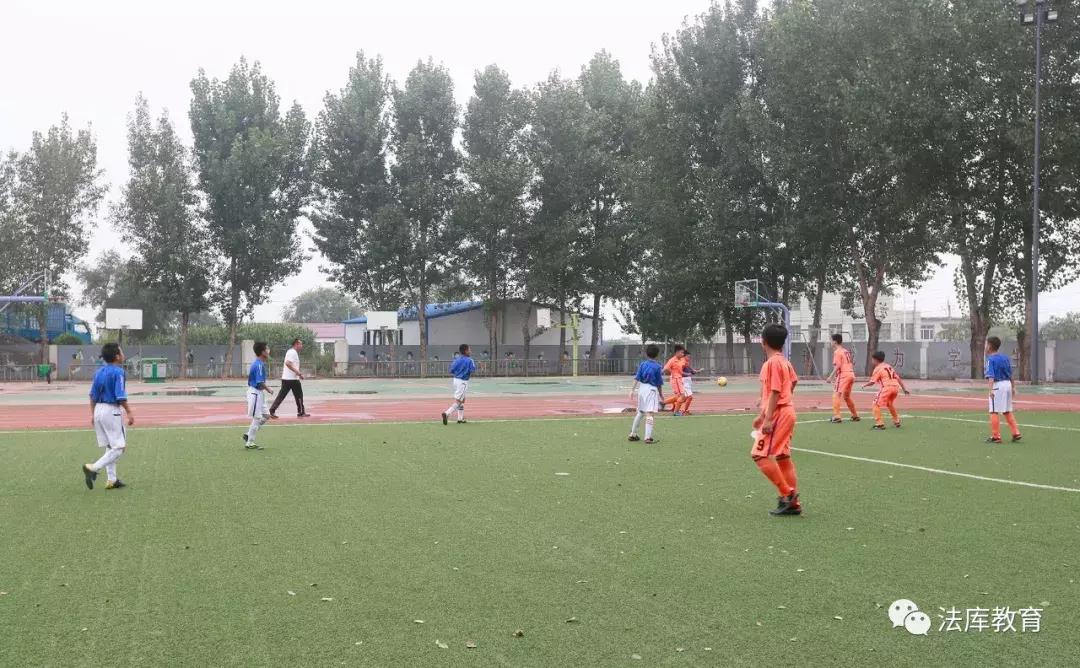 辽宁省足球发展促进会是干什么的,辽宁省足球发展促进会