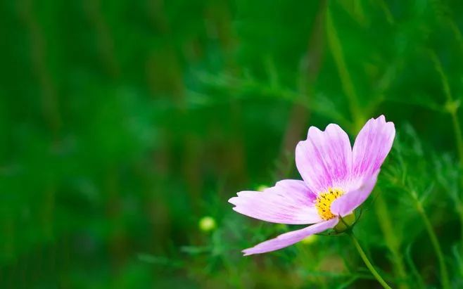 婚姻什么阶段适合要孩子,结婚有了孩子后如何增进夫妻感情