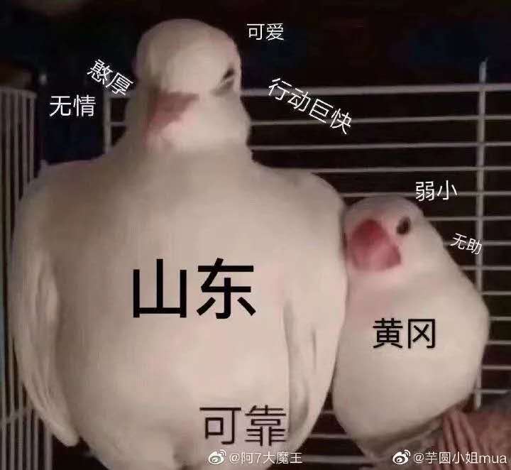 山东搬家式支援武汉,山东搬家支援武汉感人视频