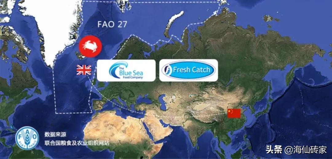 面包蟹和帝王蟹谁最厉害,面包蟹帝王蟹都是从哪里进口